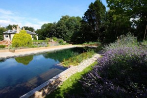 Clear Water Revival Natural Pool